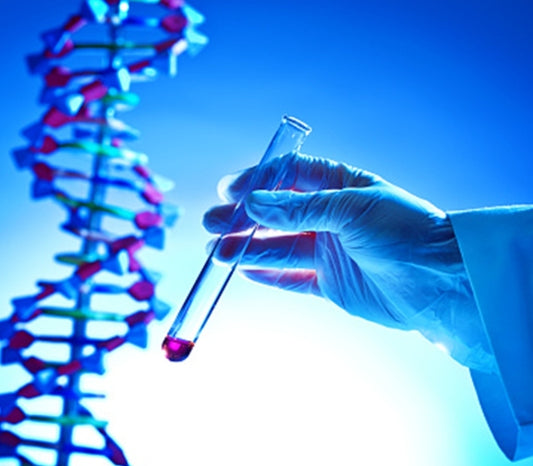 DNA TESTING